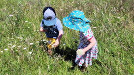 Taking an interest in bugs' lives, youngsters had great fun at the Downs open day